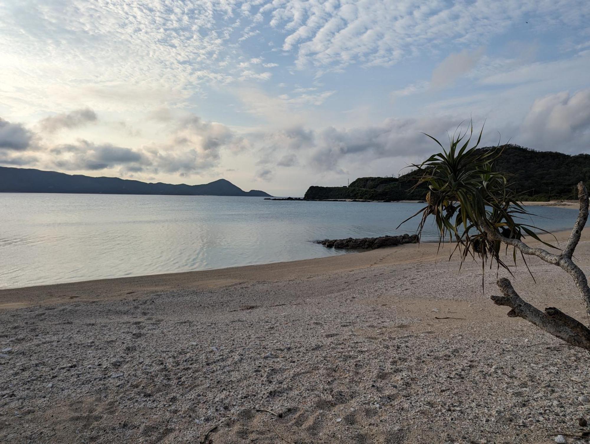 くじらの家 Villa Amami Bagian luar foto