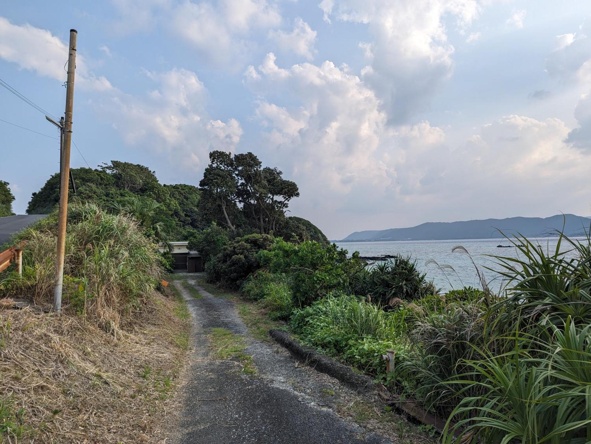 くじらの家 Villa Amami Bagian luar foto