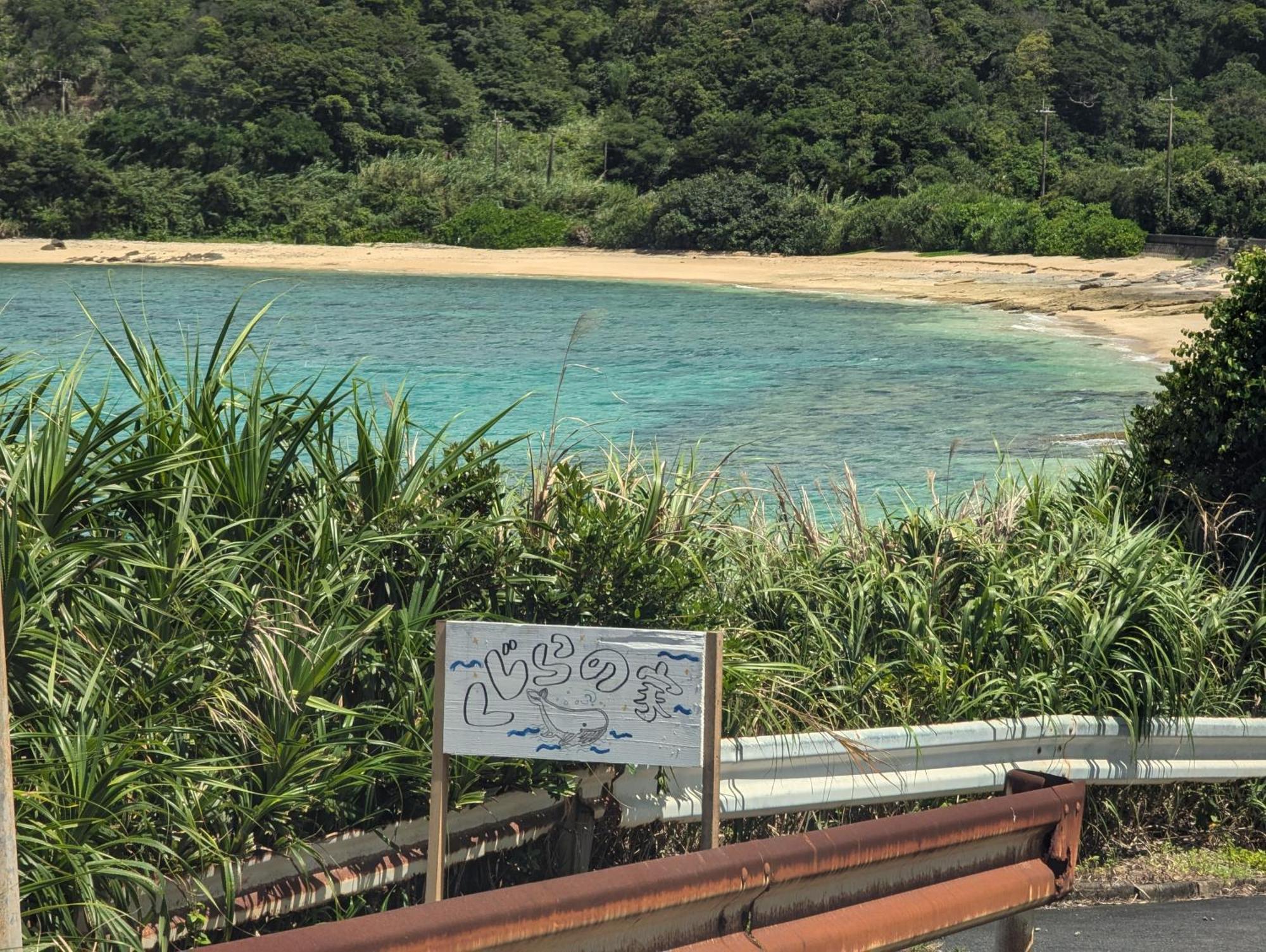 くじらの家 Villa Amami Bagian luar foto